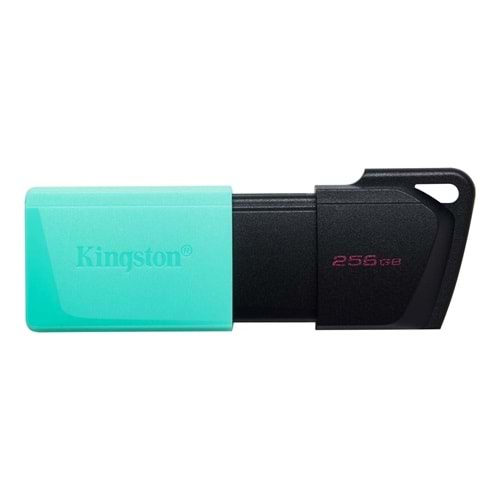 Kingston 256GB Exodia M USB 3.2 Flash Bellek