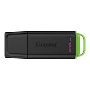 Kingston 256GB Exodia USB 3.2 Flash Bellek, DTXG2/256GB