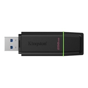 Kingston 256GB Exodia USB 3.2 Flash Bellek, DTXG2/256GB