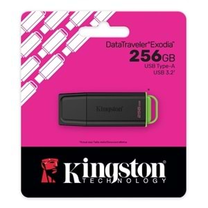 Kingston 256GB Exodia USB 3.2 Flash Bellek, DTXG2/256GB