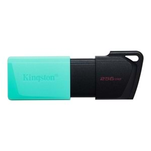 Kingston 256GB Exodia M USB 3.2 Flash Bellek, DTXM/256GB