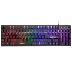 EVEREST KB-24 KLAVYE USB Q TR
